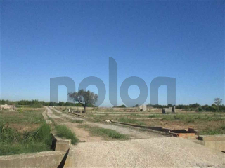 otros en venta , Borriana/Burriana 2