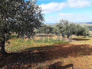 otros en venta , Corral De Calatrava , 16650 m2 2