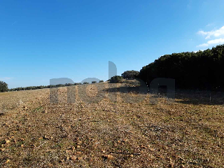 otros en venta , Corral De Calatrava , 16650 m2 3