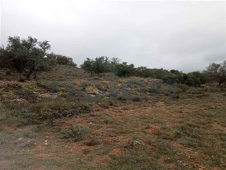 otros en venta , Villarejo De Salvanes 2