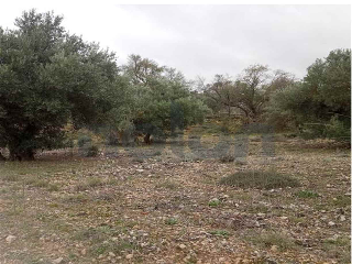 otros en venta , Villarejo De Salvanes 7