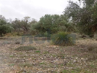otros en venta , Villarejo De Salvanes 8