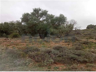Otros en venta en Villarejo De Salvanes