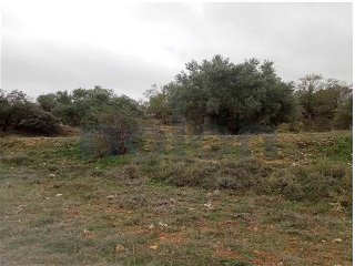 Otros en venta en Villarejo De Salvanes
