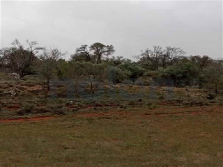 Otros en venta en Villarejo De Salvanes
