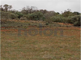 Otros en venta en Villarejo De Salvanes