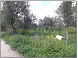 Otros en venta en Antequera de 5468  m²