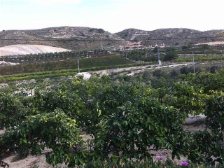 otros en venta , Beniel , 7 m2 3