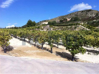 otros en venta , Beniel , 7 m2 4