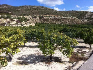 otros en venta , Beniel , 7 m2 5