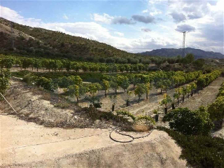 otros en venta , Beniel , 7 m2 9