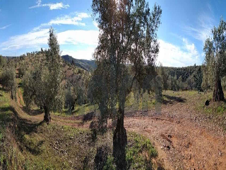 Otros en venta en Montoro de 236500  m²