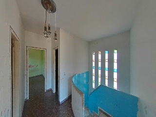  37