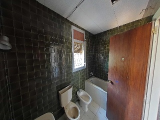  54