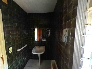  55