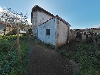  46