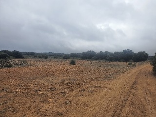 El Tobar 20