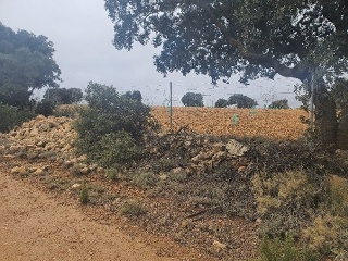 El Tobar 23