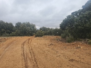 El Tobar 24