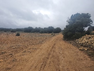 El Tobar 26