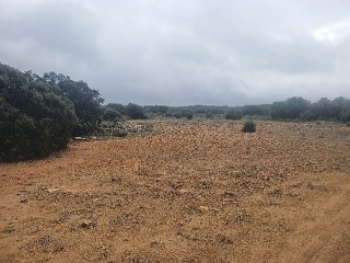 El Tobar 27
