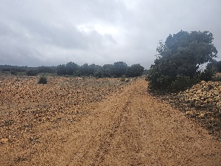El Tobar 29