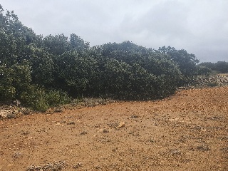 El Tobar 30