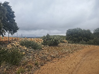 El Tobar 32
