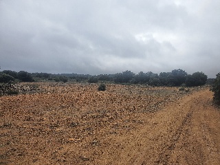 El Tobar 35