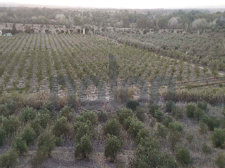 otros en venta , Sanlucar La Mayor , 53602 m2 3