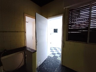 Verde 11