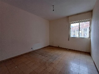 Verde 20