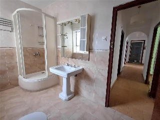 Verde 26