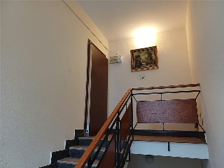 Verde 28