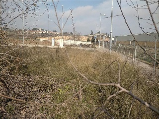 SAN MIGUEL 2