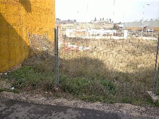 SAN MIGUEL 3