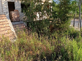 SOLANETA 15