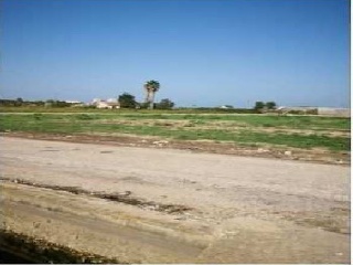 Fincas rústicas en Pr Marenyet, Cullera (Valencia) 5