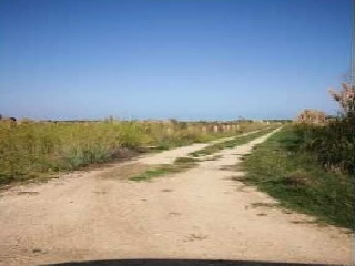 Fincas rústicas en Pr Marenyet, Cullera (Valencia) 6