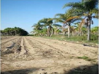 Fincas rústicas en Pr Marenyet, Cullera (Valencia) 8