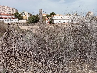 Otros en venta en Monóvar/monòver