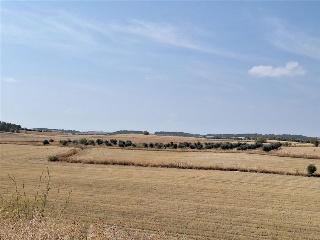 M.6 RC PROY REPARCEL AA.7 2