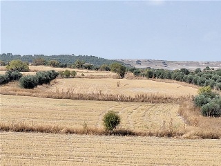 M.6 RC PROY REPARCEL AA.7 3