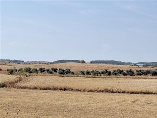 M.6 RC PROY REPARCEL AA.7 4