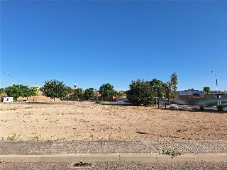 BOLAÑOS 3