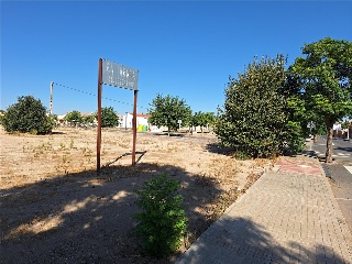 BOLAÑOS 5