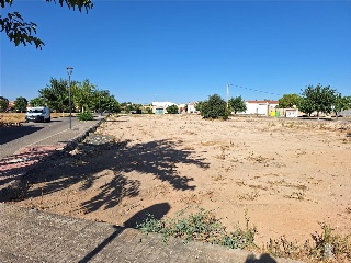 BOLAÑOS 6