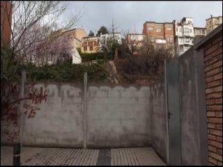 CECCHINI 5