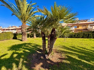 Chalet adosado en Orihuela costa 74