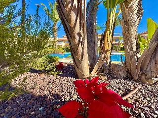 Chalet adosado en Orihuela costa 86